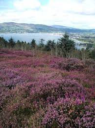 Writing And Wayfaring Pictures For St Patrick S Day Wonders Of The World Islands Of Great Britain Irish Heritage