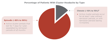 episodic cluster headache patient profile emgality