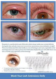 Lash Tip Cleansing Is Very Important For The Health Of Your Natural Lashes Chrissanthie Cleanser Eu Approved And Created B Eyelashes Eyelash Extensions Lashes