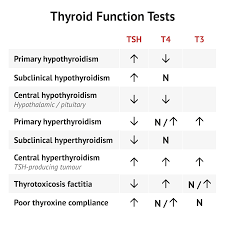 thyroid function tests thyroid function tests thyroid function thyroid