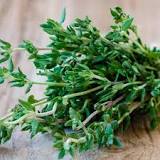 Can you eat thyme raw?