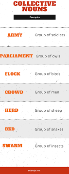 Noun Definition Noun Examples And Types Of Noun Collective Nouns Nouns Common Nouns