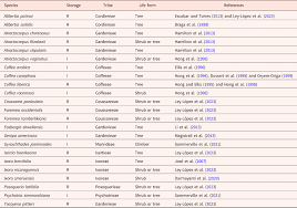 Image result for Tricalysia semidecidua