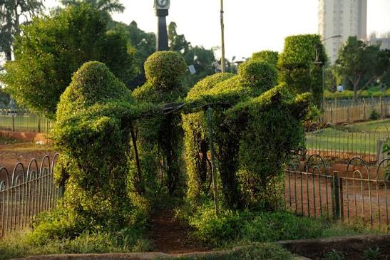 Hanging Gardens Of Mumbai, Mumbai: How To Reach, Best Time & Tips