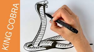 How to draw a cobra snake in a tribal tattoo design style. How To Draw A King Cobra Snake Step By Step Youtube