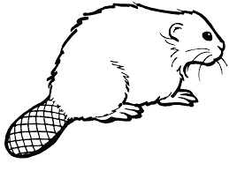 The hex codes can be found underneath each of the color swatches. Beaver Pictures To Color Coloring Home