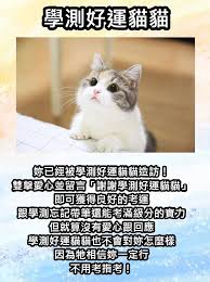 We did not find results for: Facebook