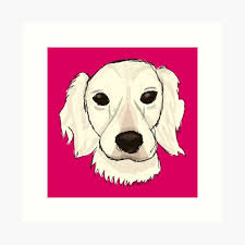 English Cream Dachshund Art Prints for Sale