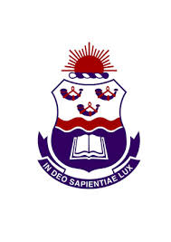 Image result for Brachychloa schiemanniana