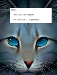 46 super funny grumpy cat meme clean get luck by it. Fuckyeahwarriorcatsmemes Warrior Cat Memes Warrior Cats Funny Warrior Cats Books