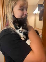 Free sweet kitty in Mountain Home Arkansas