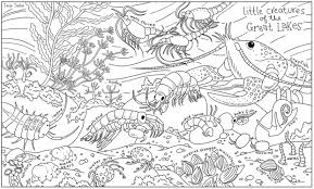 School's out for summer, so keep kids of all ages busy with summer coloring sheets. Color Chicago S Smallest Inhabitants On These Cool Coloring Book Pages Lincoln Park Chicago Dnainfo