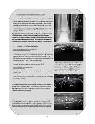 La Sims Societe D Imagerie Musculo Squelettique Consulter Gel Contact N 24