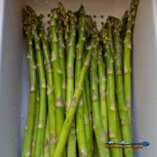 Apr 27, 2016 · the most common mistake people make when prepping raw asparagus is doing it too far in advance. How To Trim Asparagus The Mountain Kitchen Tips