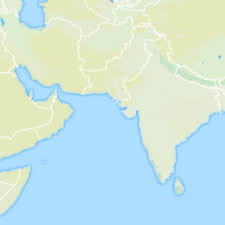 Image result for Fagonia sinaica