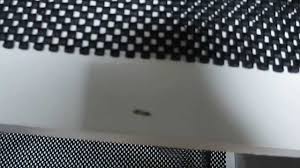 This is a critical step, because every part of your diy cabinet. Kitchen Worms How To Get Rid Of Them Youtube