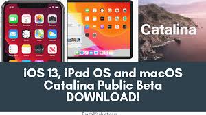 Public Beta Version Of Ios 13 Ipad Os And Macos Catalina Released Ipad Os Apple Beta Settings App