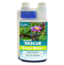 Further in the article we will talk about everything you need to know about sunflower microgreens. Green Ocean Solutions Gestion Des Risques Interculturels Com