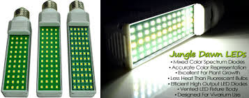 Jungle Dawn Leds For Bioactive Terrariums Live Vivariums Neherp Your One Stop Vivarium Shop