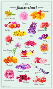 Edible Flower Chart English Grammar Agriculture Flower