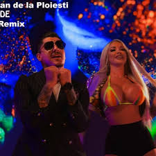 A avut de ales între primăria gorgota și școala din. Whats Up Bogdan De La Ploiesti Arde Koss Remix Radio Edit Master By Koss