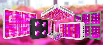 Led lights also tend to come with inbuilt fans, and so in the majority of cases, additional ventilation may not be. Is The Led Grow Lights Really Useful By Led Sinjia Medium