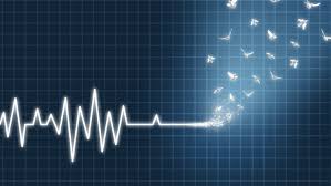 Se poate face si luni? Pomenirea Mortilor Date Parastase Baidoc Ro