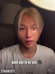 "good day to you sir" 😭 #felixstraykids #fyp #skz