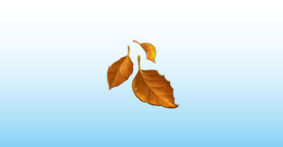 Check spelling or type a new query. Laub Emoji