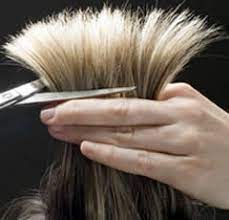 Check back every day for new deals near you. Hair Salon Services In Oconomowoc Ixonia Coloring Styling Nails Tanning