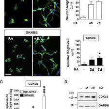 Stefania ferrario was born in canberra, australian capital territory, australia to an italian mother, lilia ferrario, and an english. Daniela Erriquez S Research Works University Of Bologna Bologna Unibo And Other Places