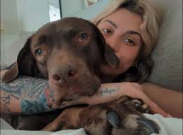 Remembering Liberty, a beloved German Shepherd