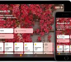 Best App Development With Ios In 2020 Ios App Development Iphone App Development Android App Development