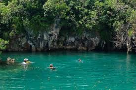 Andros South Lodge - Bahamas Fly Fishing Adventures