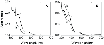 Select fpx as the payment option at the merchant website. Spectrum Analyses Of Fpx A Absorption Spectra Of 100 Mm Air Oxidized Download Scientific Diagram