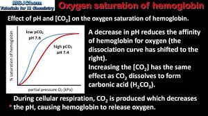 B 9 Oxygen Saturation Of Hemoglobin Hl Youtube