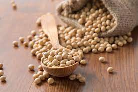 Soybeans During Pregnancy Benefits And Concerns Being The Parent