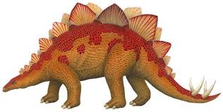 Stegosaurus Wall Decal Dinosaur Wall Stickers Kids Room Decor Kids Room Wall Stickers Dinosaur Wall Dinosaur Wall Stickers