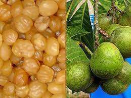 35 Incredible Benefits Of Ricinodendron Heudelotii Njangsa Global Recipes Food And Drink Food
