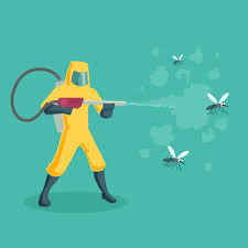 This guide deals with how to get rid of grackles, discussing the various control methods and their implications. How To Get Rid Of Grackles New And Effective Steps To Drive Them Away