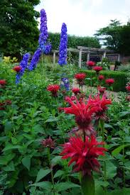 Pin On Sun Garden