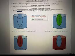 If an animal cell were placed in a hypotonic solution the likeliest result would be. Hypertonic Hypotonic Isotonic Ch 5 Metabolism 1 Chegg Com