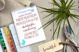 ,quotes, posters, logos, print ads, digital ads, promotion product, video bumper, etc. Natalia Script 10776 Handwritten Font Bundles