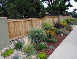 Xeric Plantings Come In All Shapes Sizes And Colors On This Project Over 2 000 Square Fee Water Saving Landscape Low Water Landscaping Front Yard Landscaping