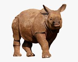 We did not find results for: Rhino Png Image Transparent Background Wild Animals Png Download Transparent Png Image Pngitem