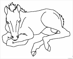 Jul 11, 2013 · it thus evokes great joy in kids to fill the horse coloring pages with such attractive colors. Baby Horses Cute Coloring Pages Horse Coloring Pages Coloring Pages For Kids And Adults