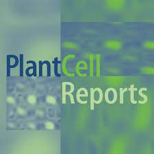 The journal was established in 1989, with robert (bob) goldberg (university of california, lo. Plant Cell Reports Plantcellrep Twitter