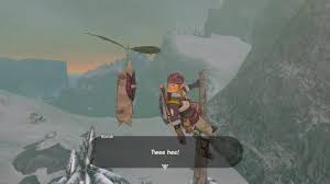 Log in or create an account. Zelda Breath Of The Wild Commentary 128 Koroks Northwest Hebra Region Youtube