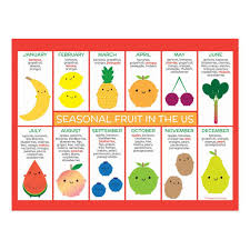 Usa Seasonal Fruits Chart Postcard Zazzle Com In 2021 Fruit Season Chart Fruit In Season Fruit