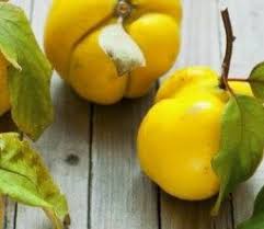Ayva Kurusu Nasil Yapilir Meyve Yemek Salatalar
